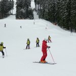 phoca_thumb_m_lye 4.den  8 Fotogalerie